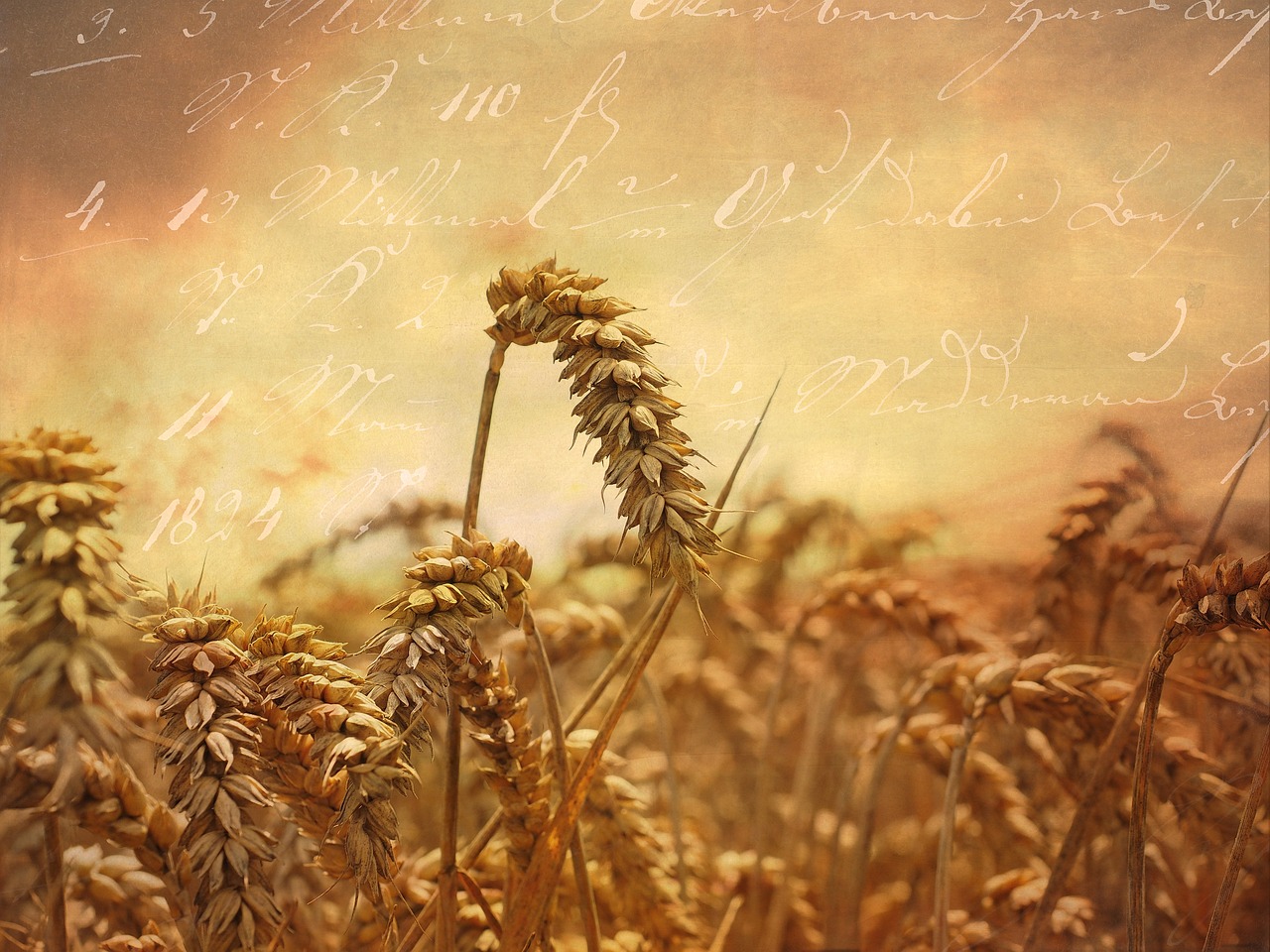 世界上特別奇特的草:頂尖可活1500年2025最新排名前十名榜單出爐