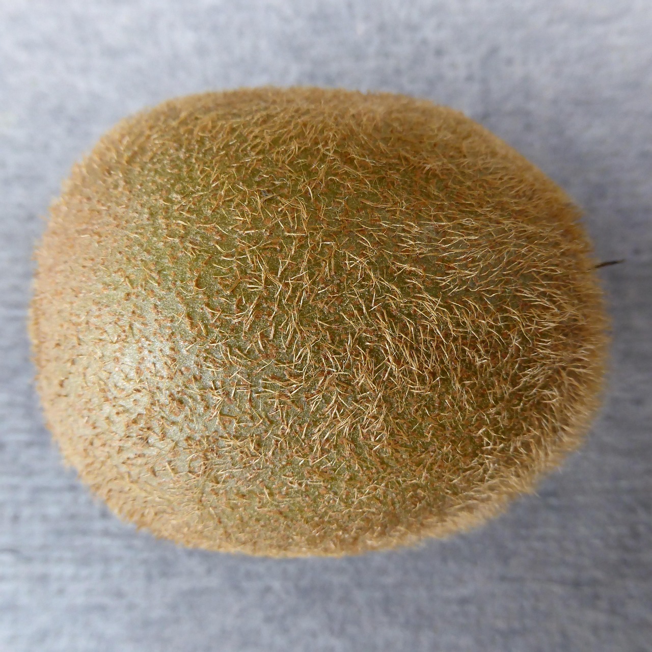 葡萄籽膠囊哪個牌子好2025近期排名前十名分析