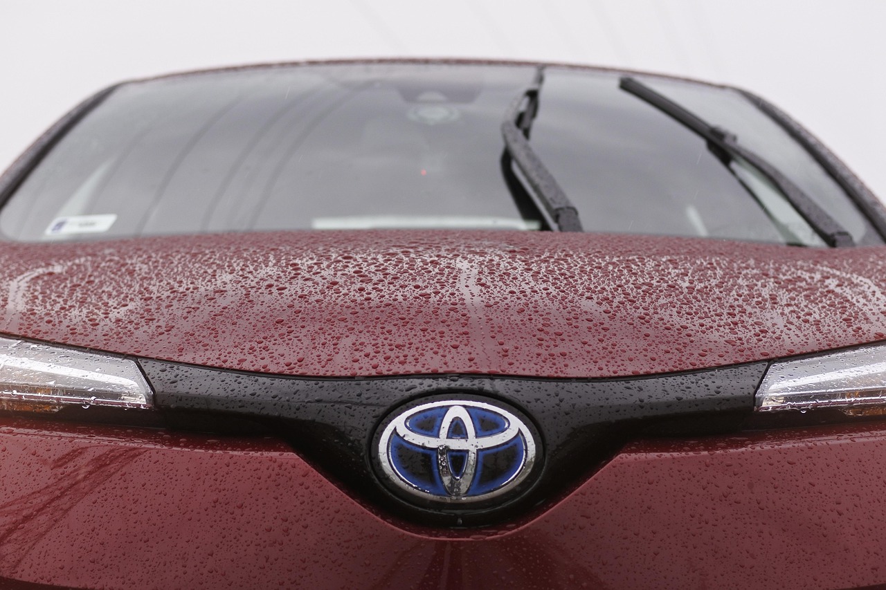 自行車品牌排行榜前十名—世界十大頂級自行車品牌排行2025最新排名前十名榜單出爐
