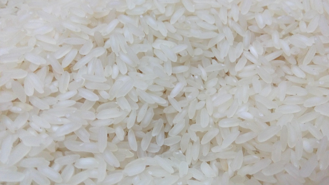 十大有機奶粉品牌排行榜2025特別新排名前十名分析